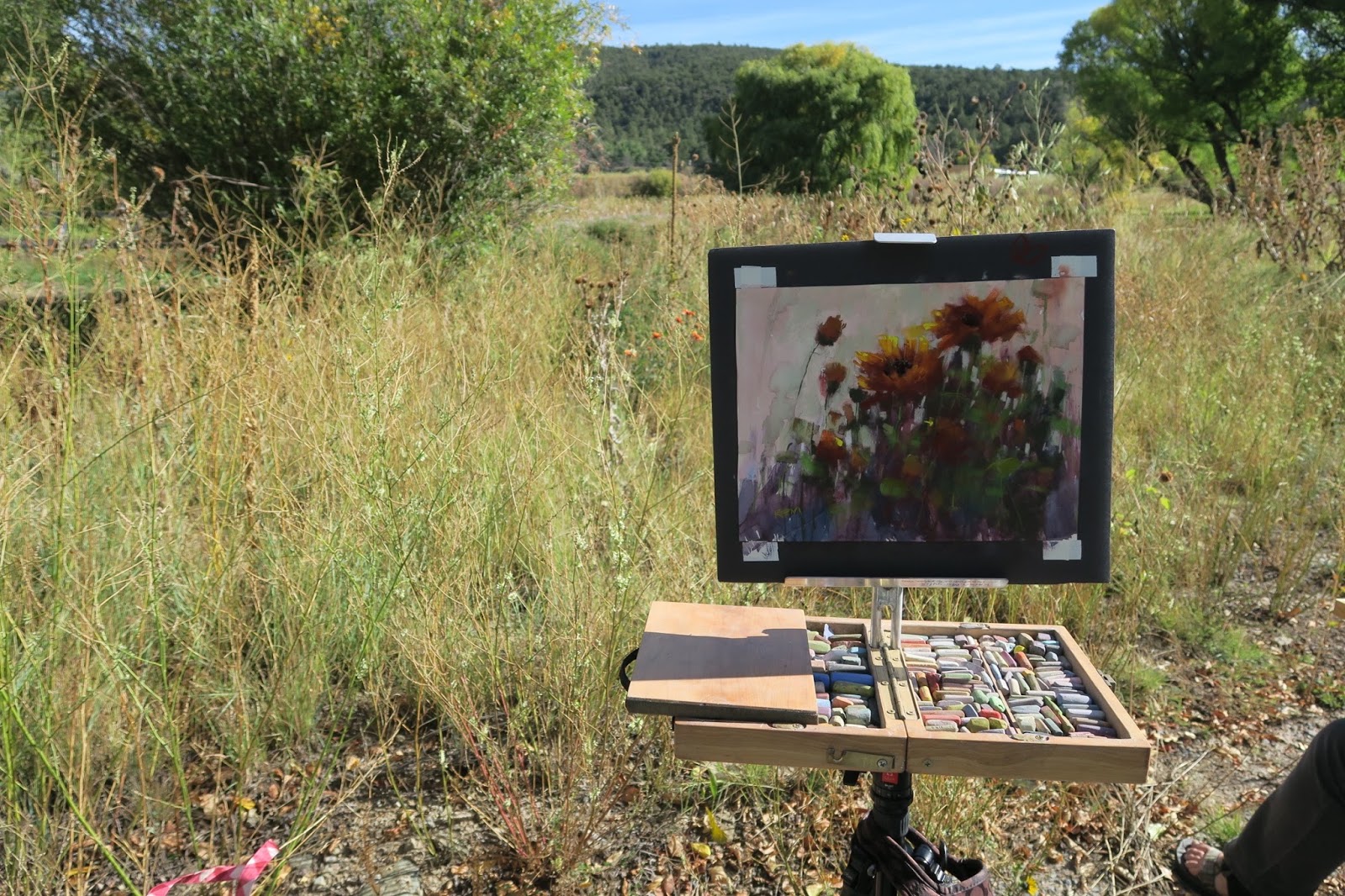 Painting My World Reviewing a Month of Plein Air Mexico!