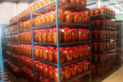 Đặc Sản Rượu Cần Tây Nguyên 9 Lít đặc biệt Đặc Sản Rượu Cần Tây Nguyên 9 Lít đặc biệt