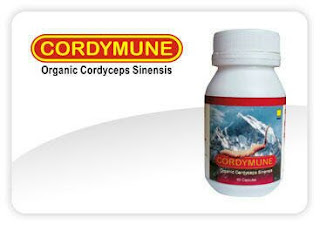 Cordymune Cordyceps Sinensis Cordymune Cordyceps Sinensis