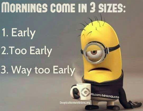 
Top 29 Funny despicable me Minions Quotes. 