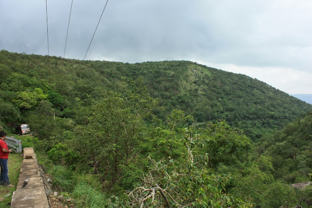 The forested valley of Hasanur Ghat, Tamil Nadu The forested valley of Hasanur Ghat on the way down to NH 209 and Dimbam village from Bailur along Kollegal - Hasanur Road