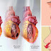 9 Dangerous Symptoms Of High Blood Pressure That You Shouldn’t Ignore