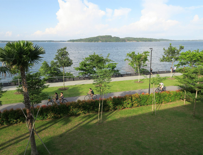 Cycle along Punggol Point Park and enjoy the lovely breeze and sunshine