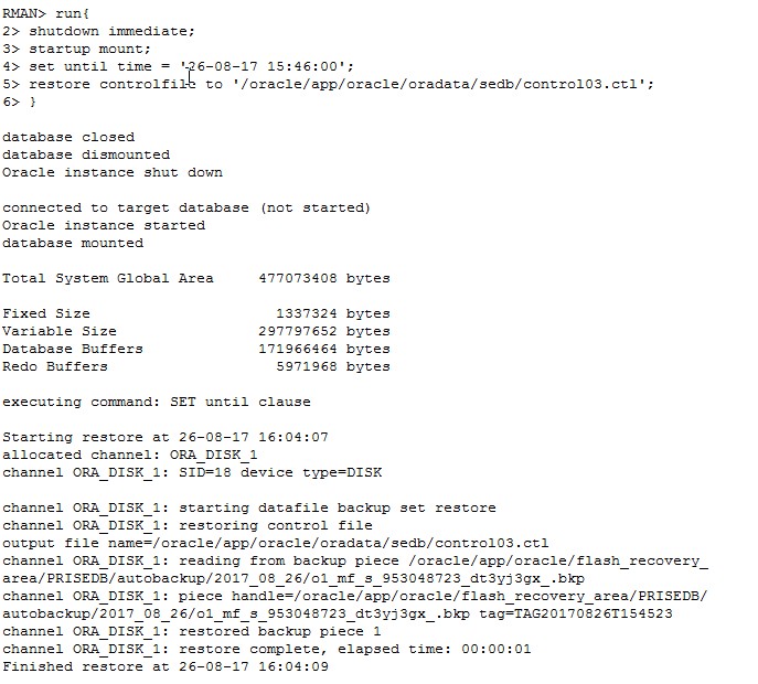 David s logger oracle data recovery advisor