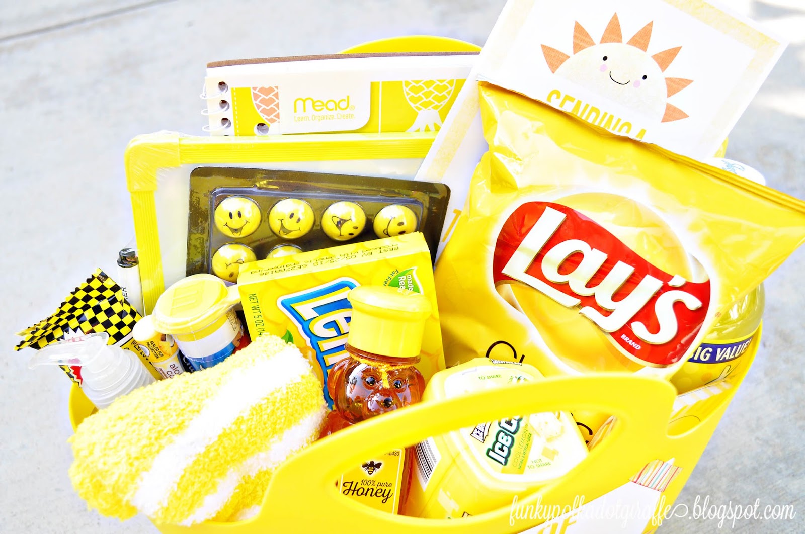 Funky Polkadot Giraffe Basket of Sunshine Gift with Printables