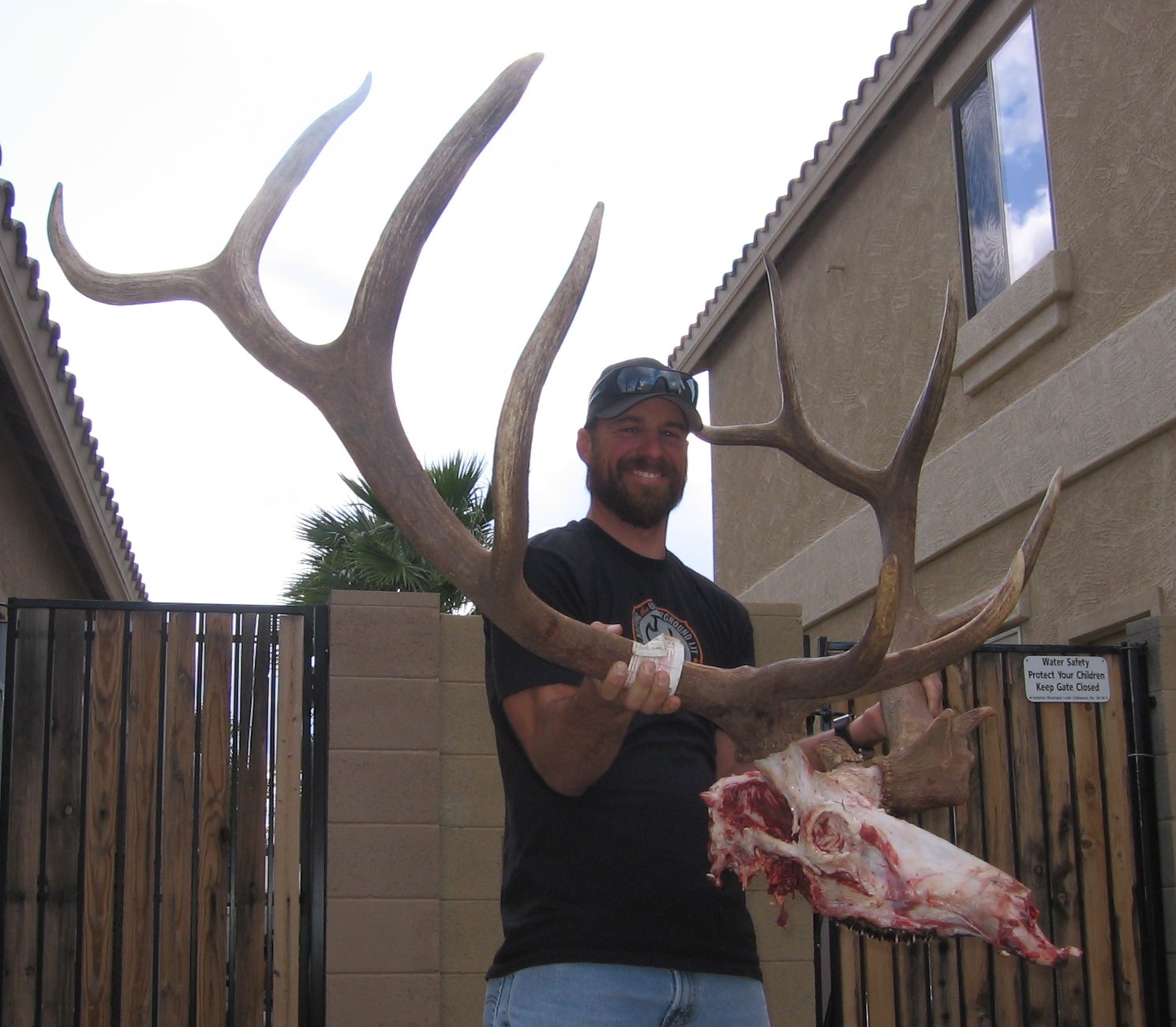 Game Trail Taxidermy June 2013