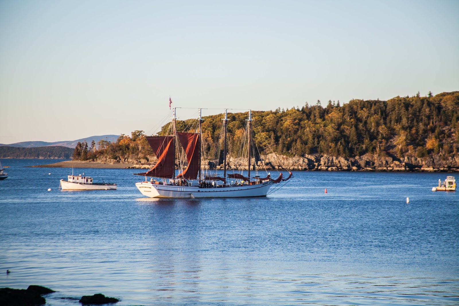My Musings Sailing in Bar Harbor