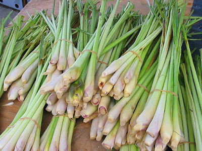 Please Share This Article !! MAGIC Turns Serai could clean it Toxins In The Body By Instant! Please Share This Article !! MAGIC Turns Serai could clean it Toxins In The Body By Instant!