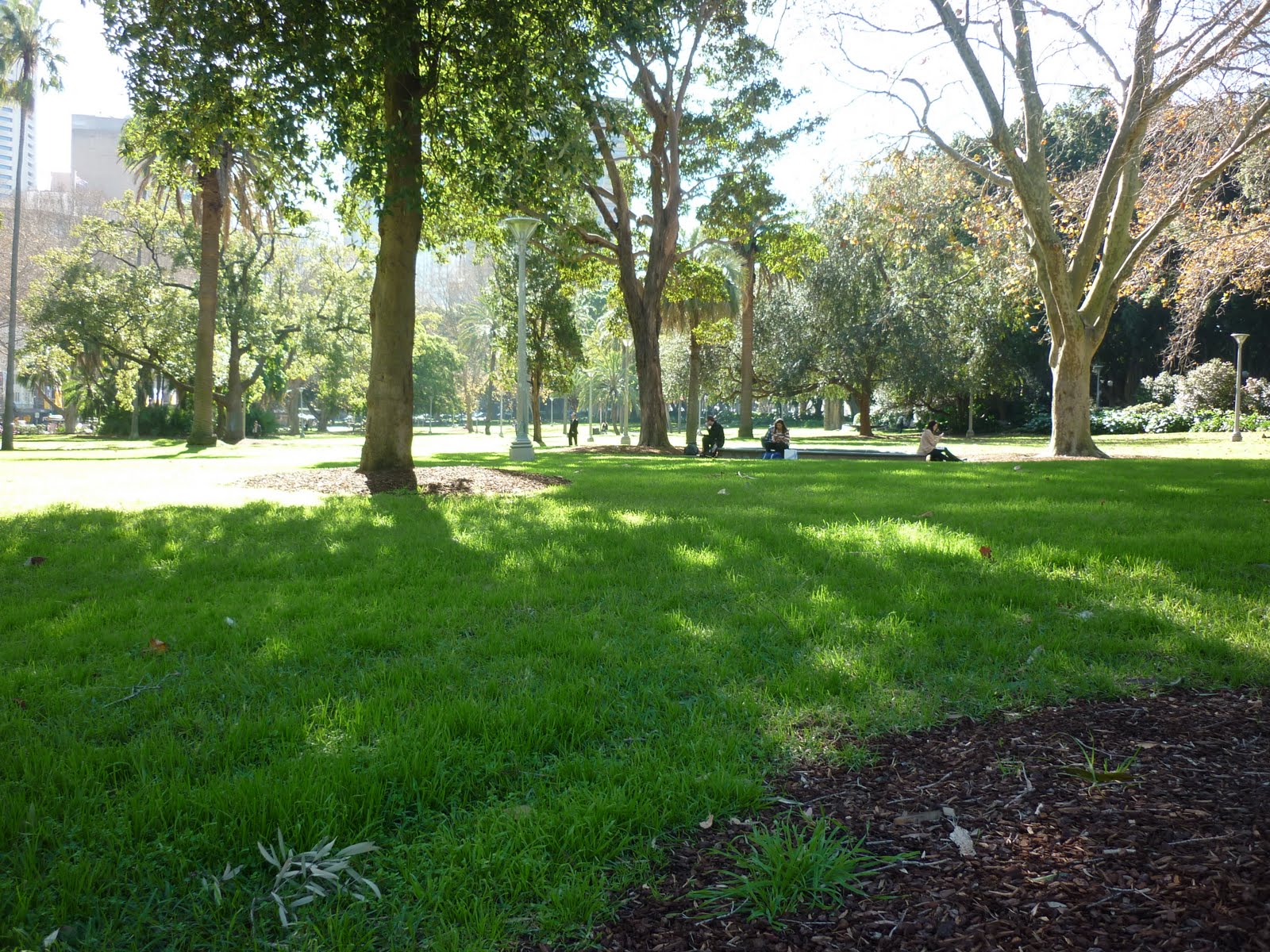 Sydney Australia Hyde Park Winter