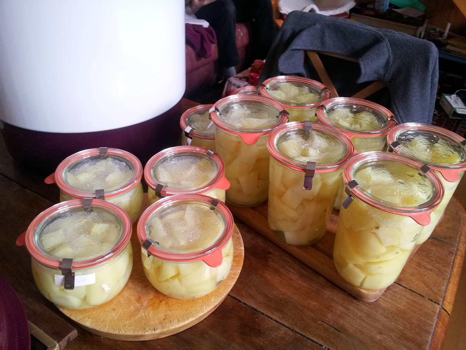 Le potager d'Andrée 2014 janvier 5