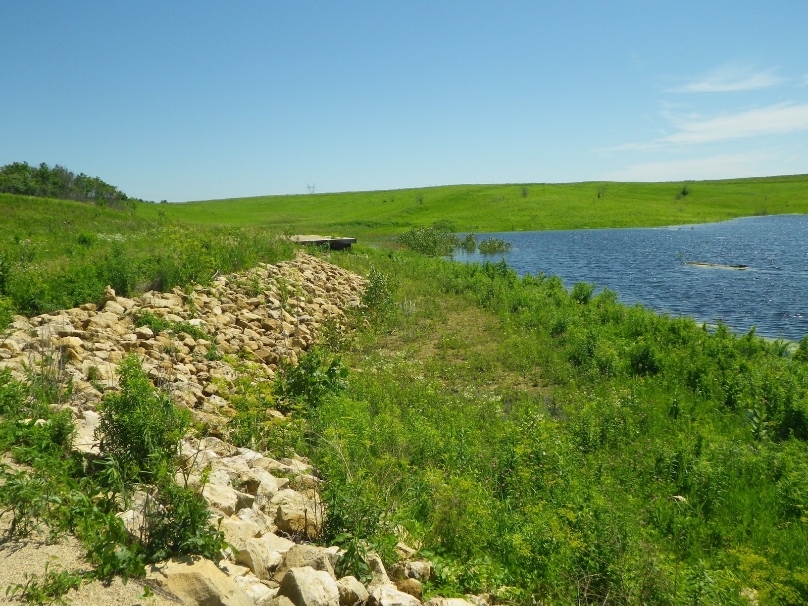 The Lost Grove Lake Mapping Project