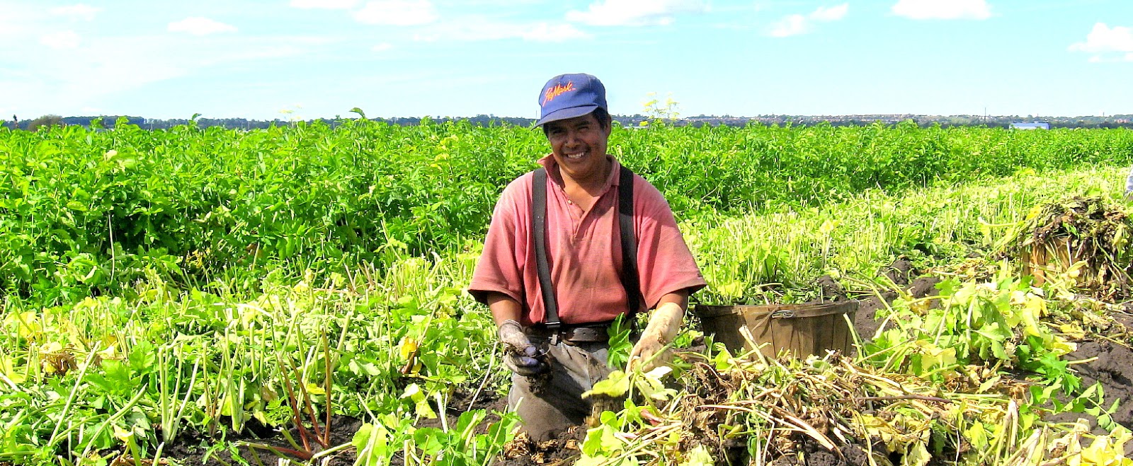 Camera on King & Aurora Woodchoppers Lane Holland Marsh