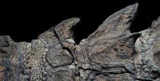 اكتشاف أحفورة ديناصور سليمة تماما بلحمها وعظامها وحتى بقايا الطعام في جوفها