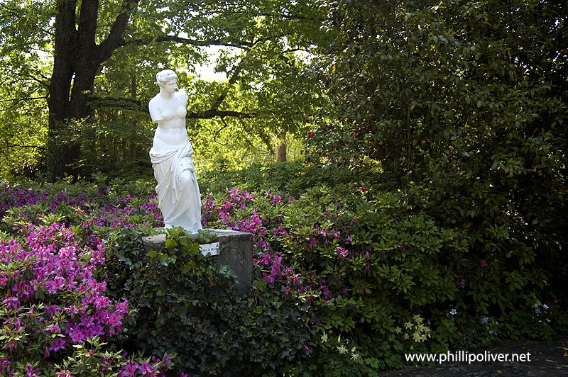 Jasmine Hill Gardens