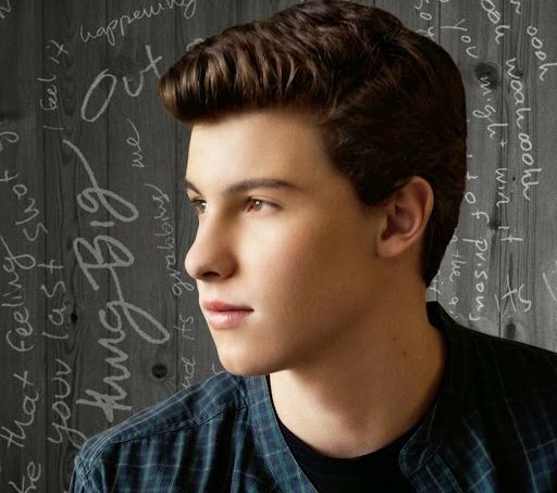 Lirik Lagu Stitches dan Terjemahan - Shawn Mendes | Lirik Terbaru 29