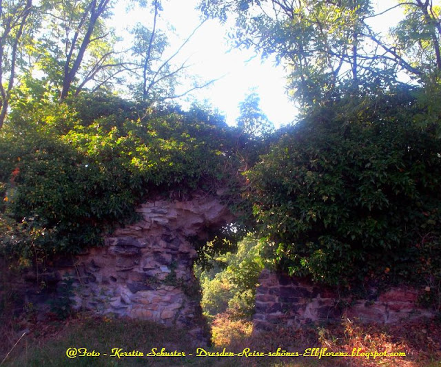 Ausblick durch ein Mauerloch der Burgruine Dohna