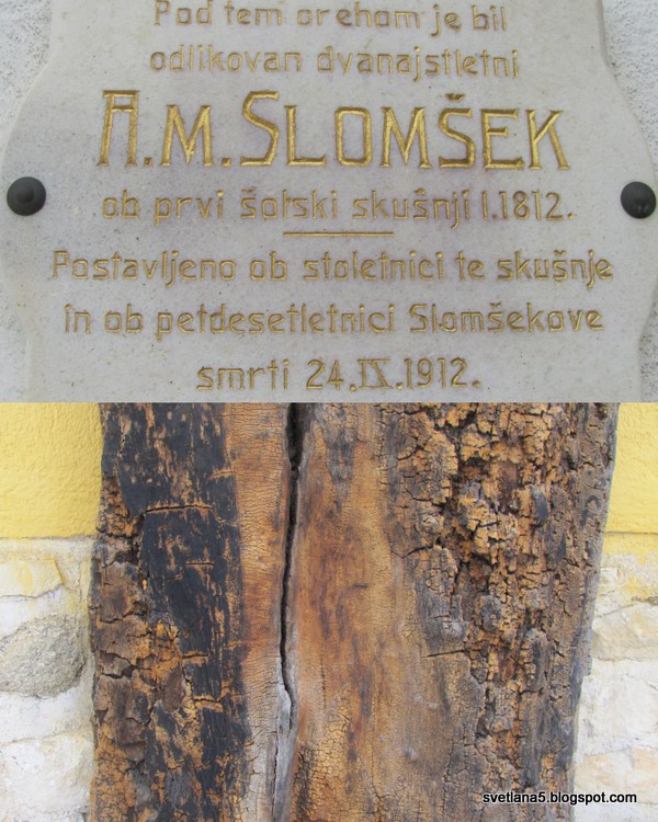 Ponikva Slovenija