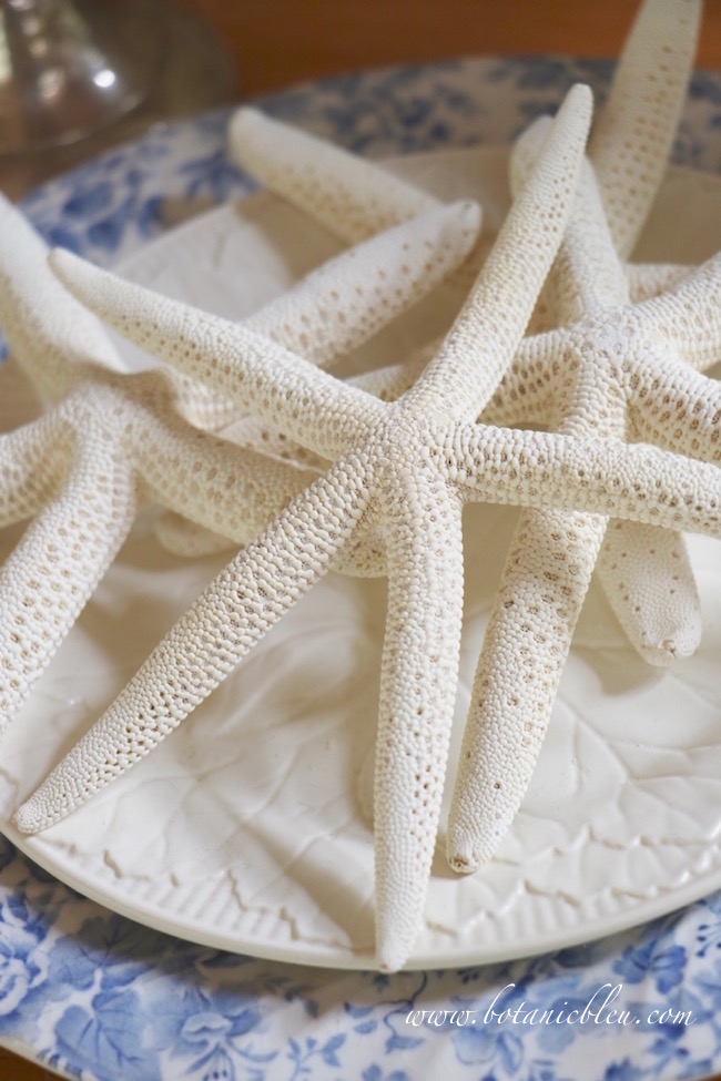white-starfish-on-blue-and-white-plates