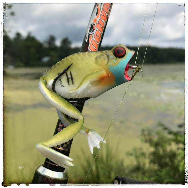Bass Junkies Frog Pond: Lunker Hunt Popping Frog Review