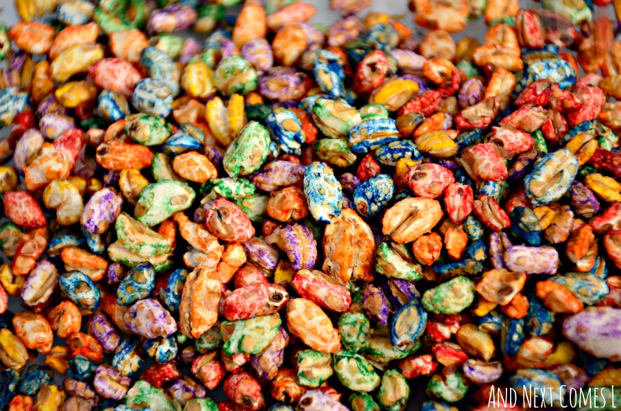 Rainbow Puffed Wheat {How to Dye Cereal for Sensory Play} And Next