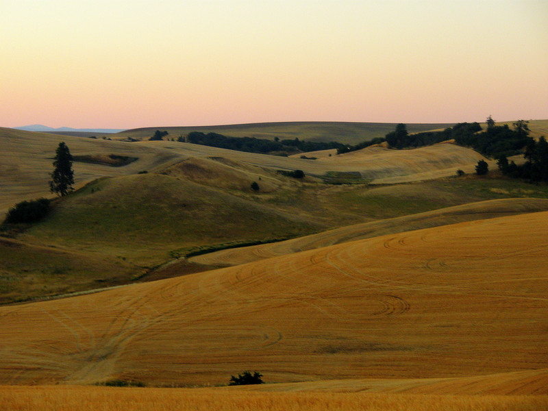 Round 1 Palouse Elk Zone vs. McCall Elk Zone IDAHOMAN
