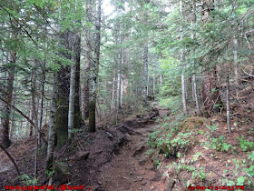 Bald Mountain Trail Oregon