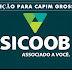 Oportunidade: Sicoob de Capim Grosso Abre Processo Seletivo para Assistente de Negócios e Crédito