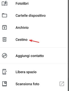 Cestino-Google-Foto Cestino