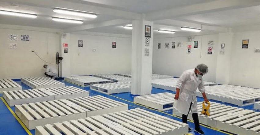 QALI WARMA: Programa social pasa evaluación técnica a almacenes de postores al proceso de compras electrónico 2020 en Pasco - www.qaliwarma.gob.pe QALI WARMA: Programa social pasa evaluación técnica a almacenes de postores al proceso de compras electrónico 2020 en Pasco - www.qaliwarma.gob.pe