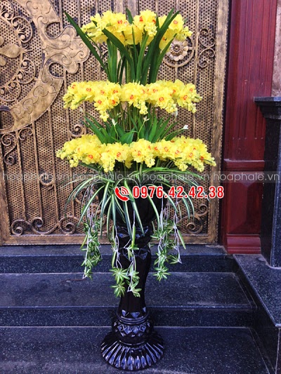 Hoa đá pha lê ở Đội Cấn Hoa da pha le o Doi Can