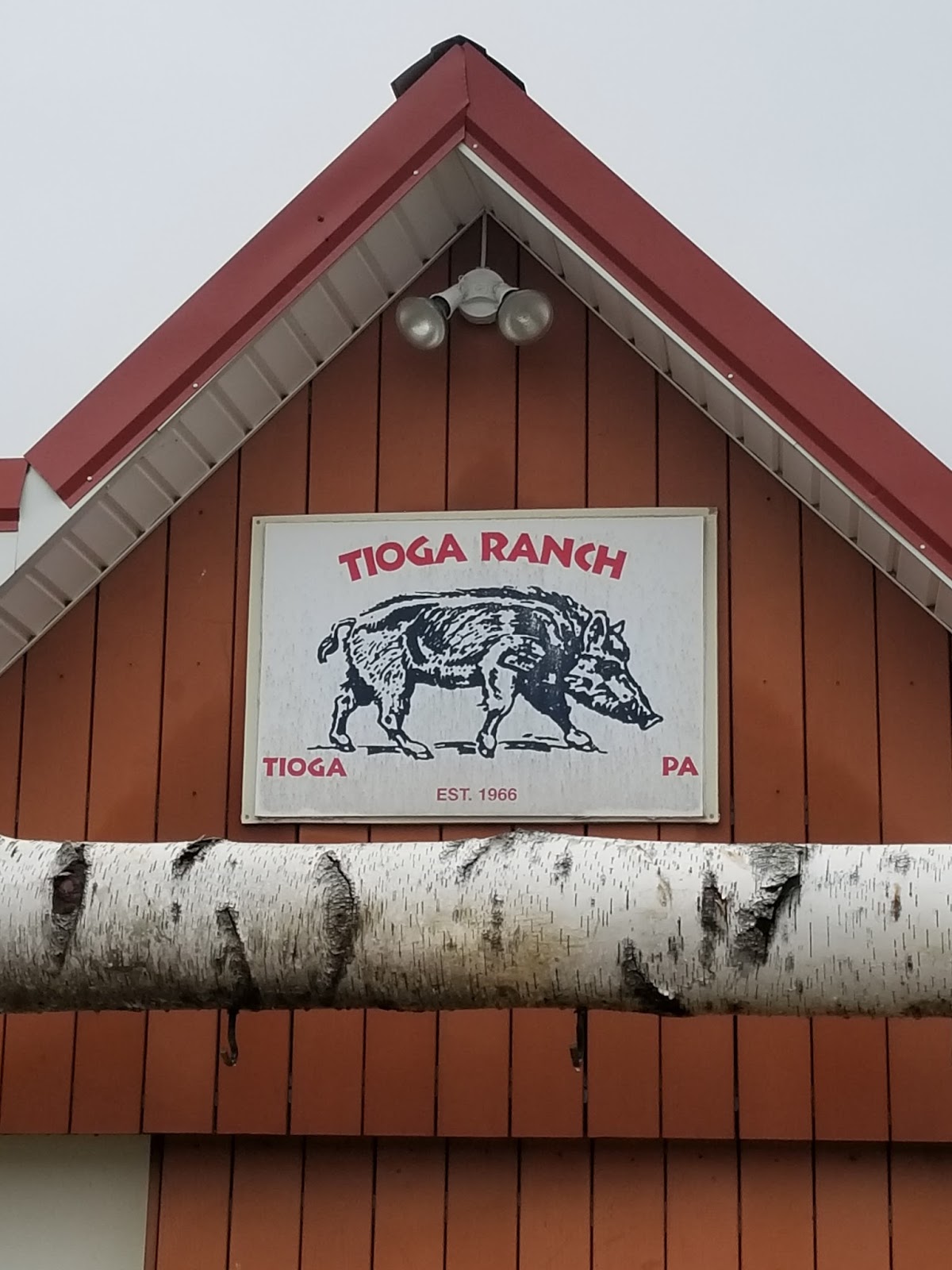 robfisherie Tioga Boar Ranch Hunting In Pennsylvania Boar Hunt