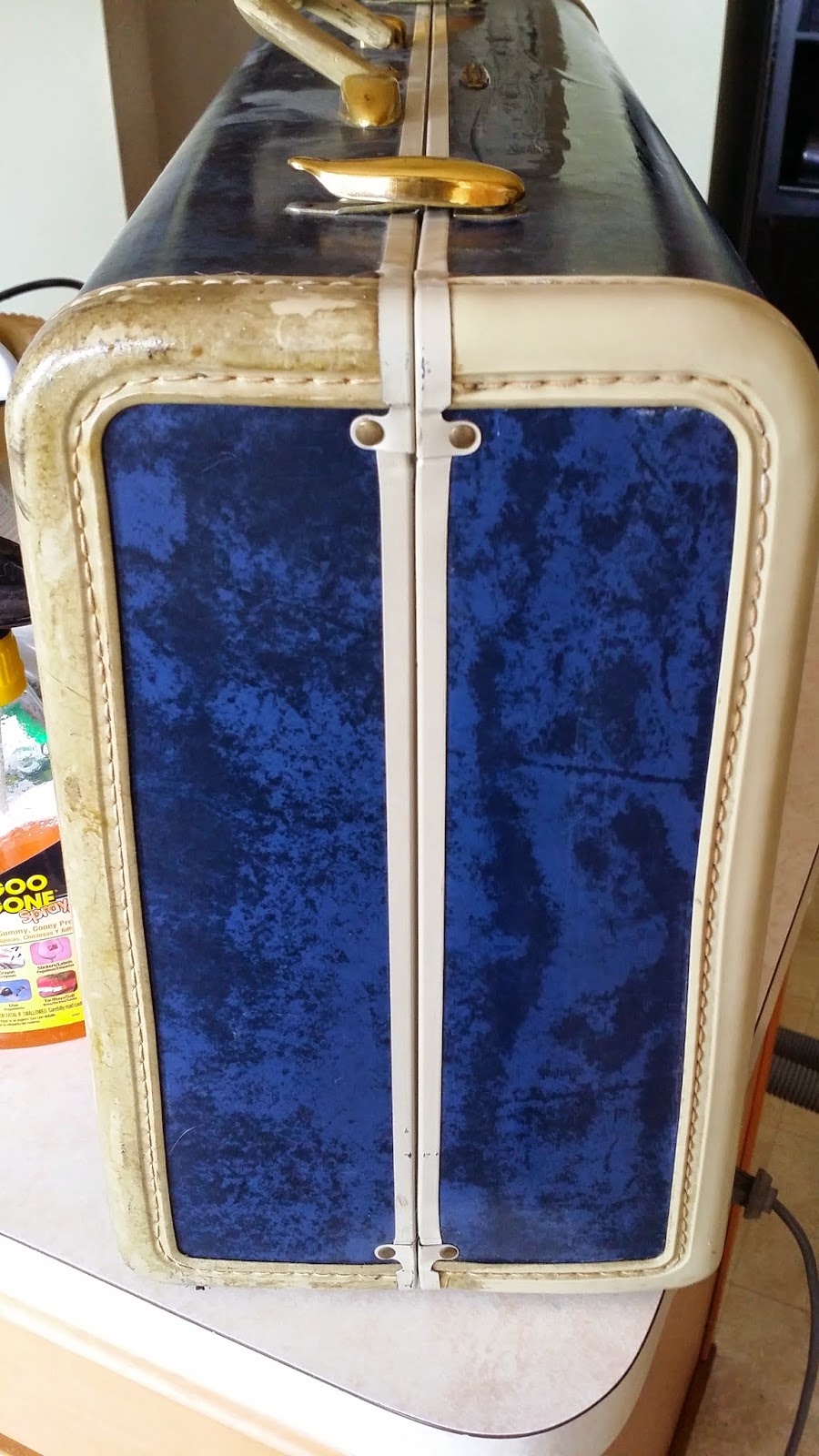 Vintage Diana Cleaning Vintage Suitcases