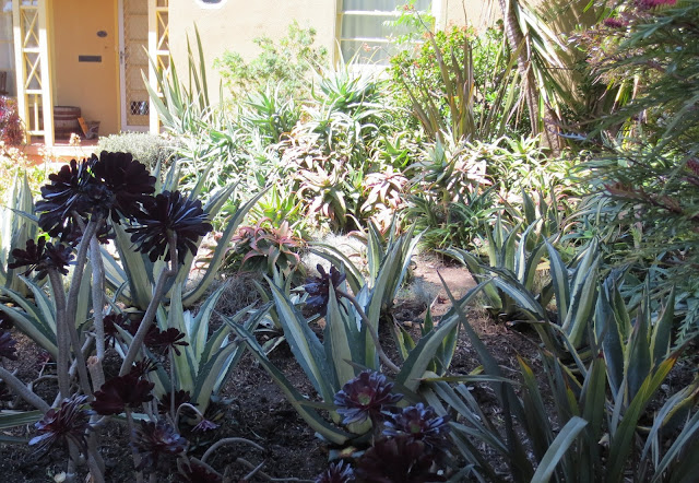 Late to the Garden Party: April 2013