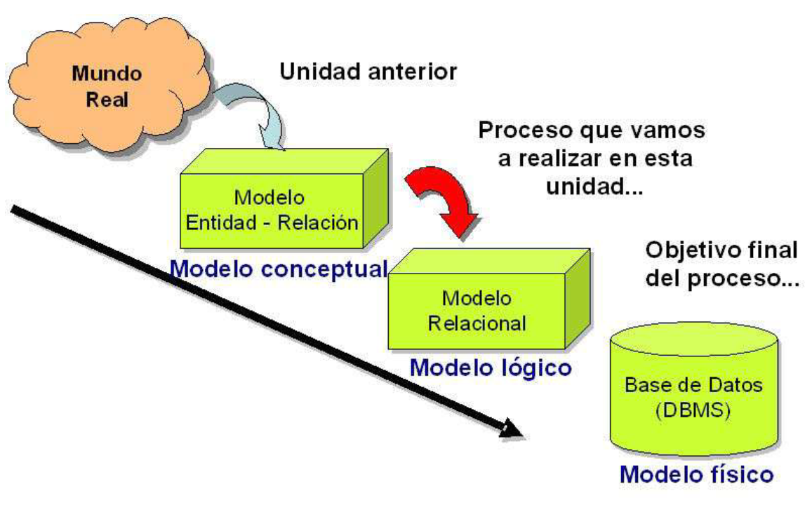 Conceptualizacion : Diseño de las bases de datos