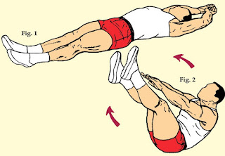 Bentuk Perut Six Pack Bentuk Perut Six Pack