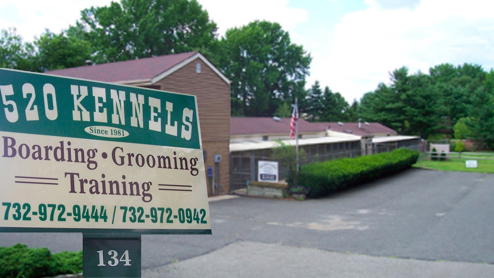 520 Kennels and Grooming Blog Kenneling done the right way