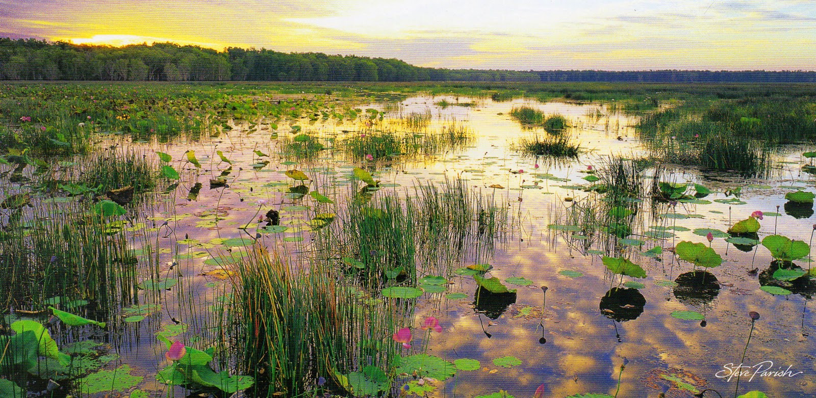UNESCO Postcards Collection By Dannyozzy Kakadu National Park