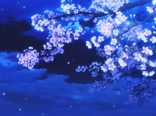 tumblr_oahi23QJBg1ub8o50o1_500.gif