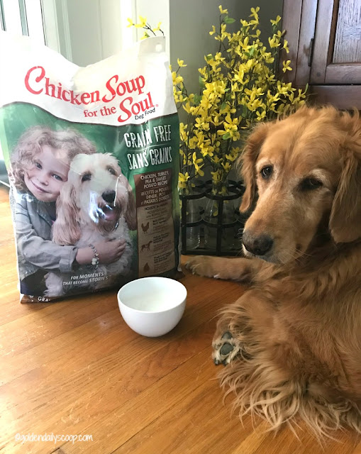 Best Dog Food No Grain Family Owned Best Dog Food No Grain Family Owned