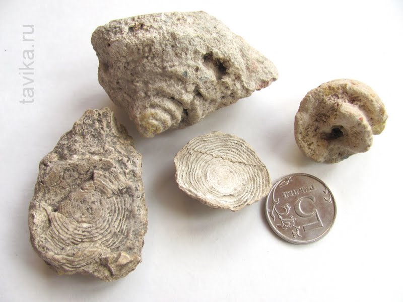 07.10.2014%2B15 24 29 0023