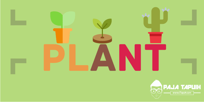 Vocabulary : Plant