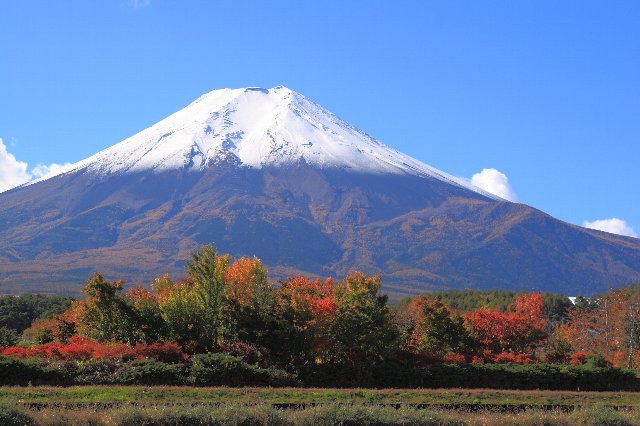 富士山