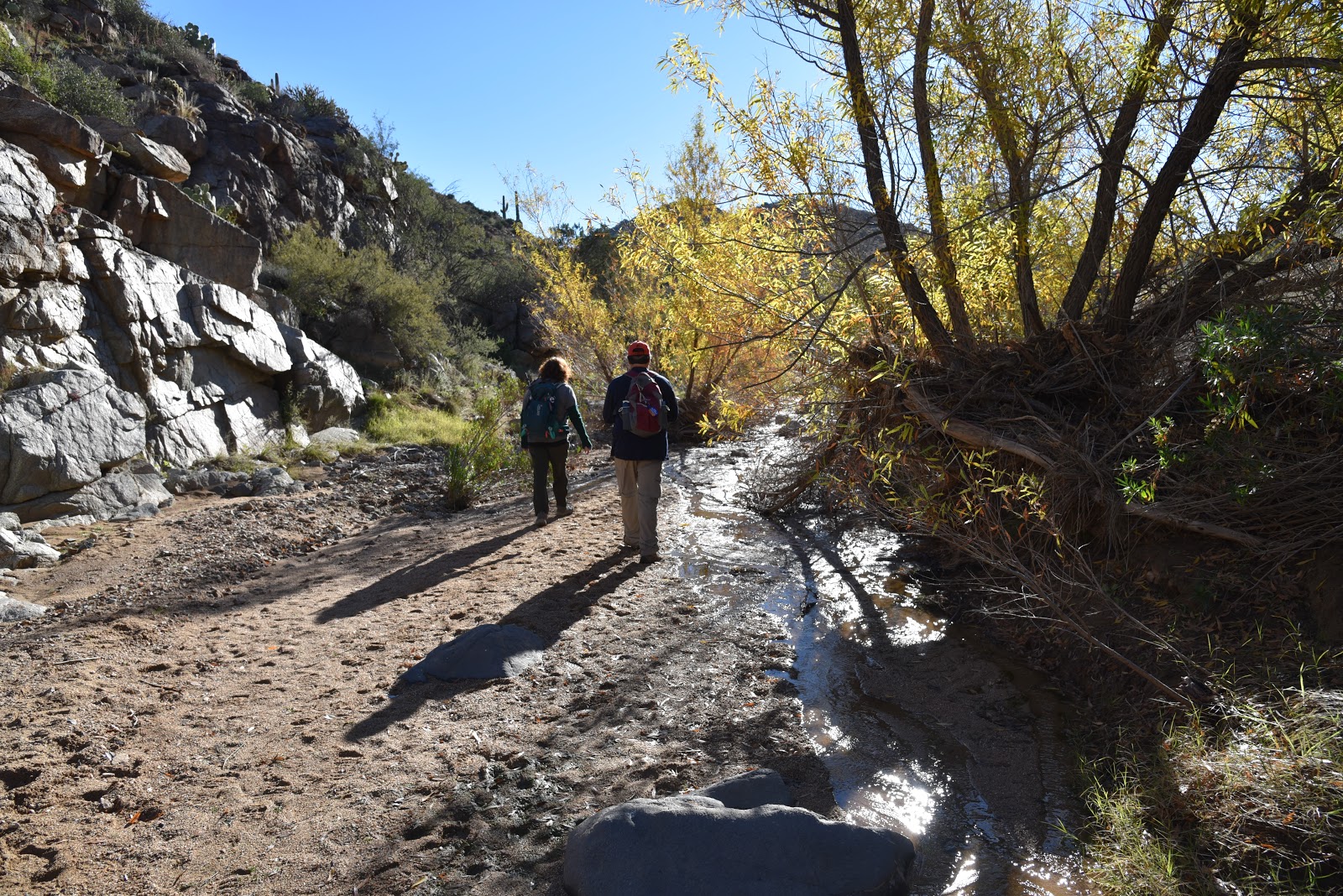 Arizona Hiking BADGER SPRINGS WASH TRAIL