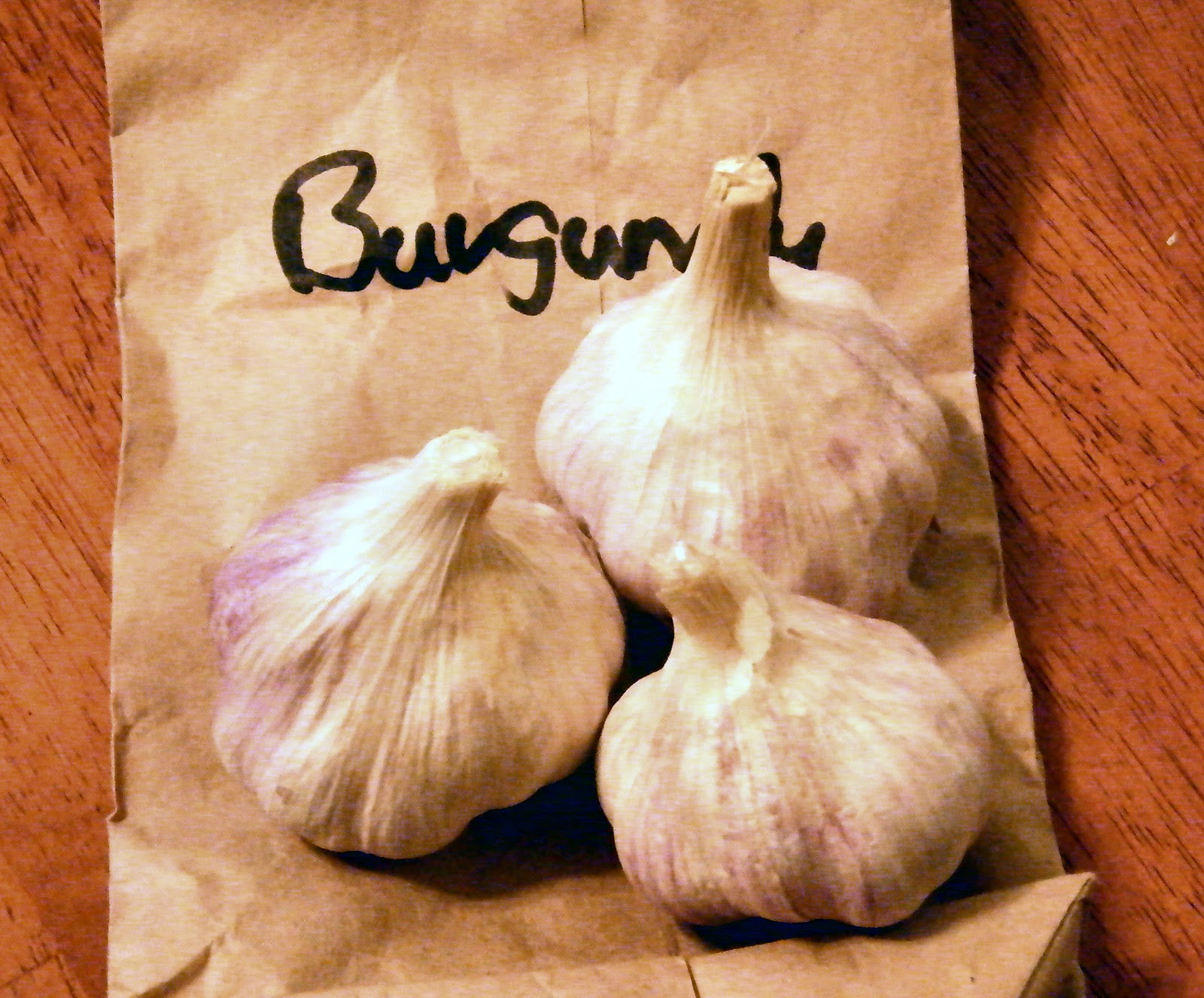 Home of a Feral Biologist: The Garlic is Planted