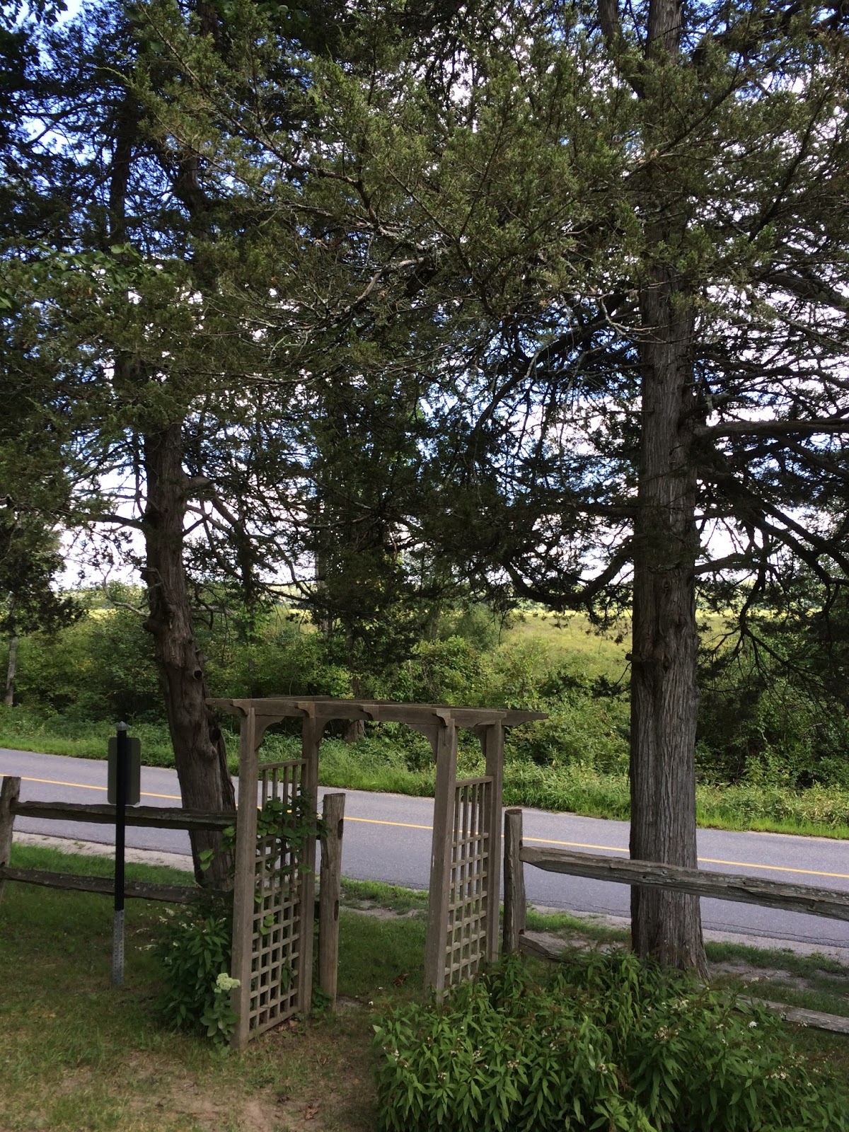 Things Have Changed The Sudbury Fight