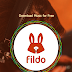 Download MP3 using Fildo Android 2017