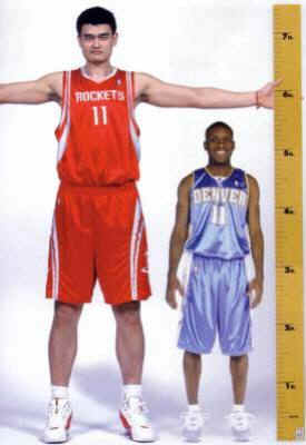 Average Shoe Size For Nba Average Shoe Size For Nba