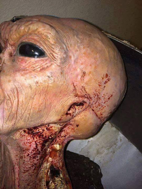 Você socorreria um extraterrestre 👽 acidentado ?