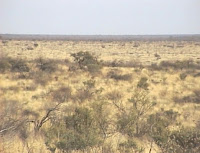 Botswana-paysage