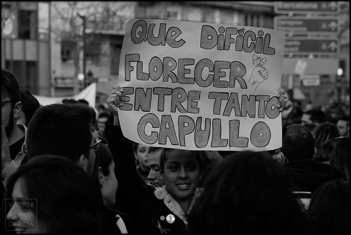 Qué difícil florecer entre tanto capullo cartel,feminista,valencia,8M,manifestacion